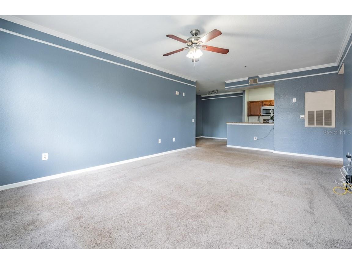 17101 Carrington Park Drive #415 Tampa FL 33647 TB8411715 image13