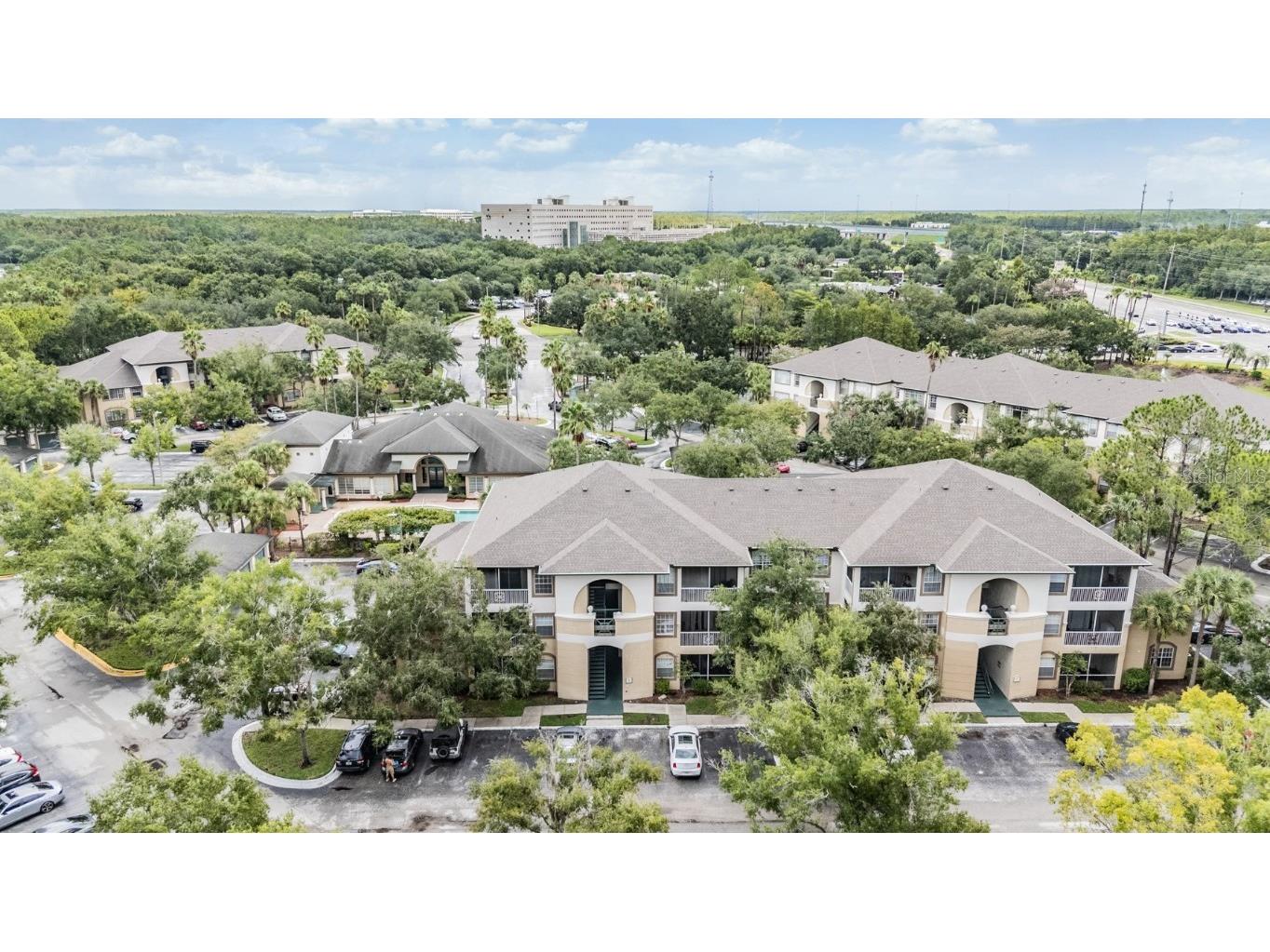 17101 Carrington Park Drive #415 Tampa FL 33647 TB8411715 image24