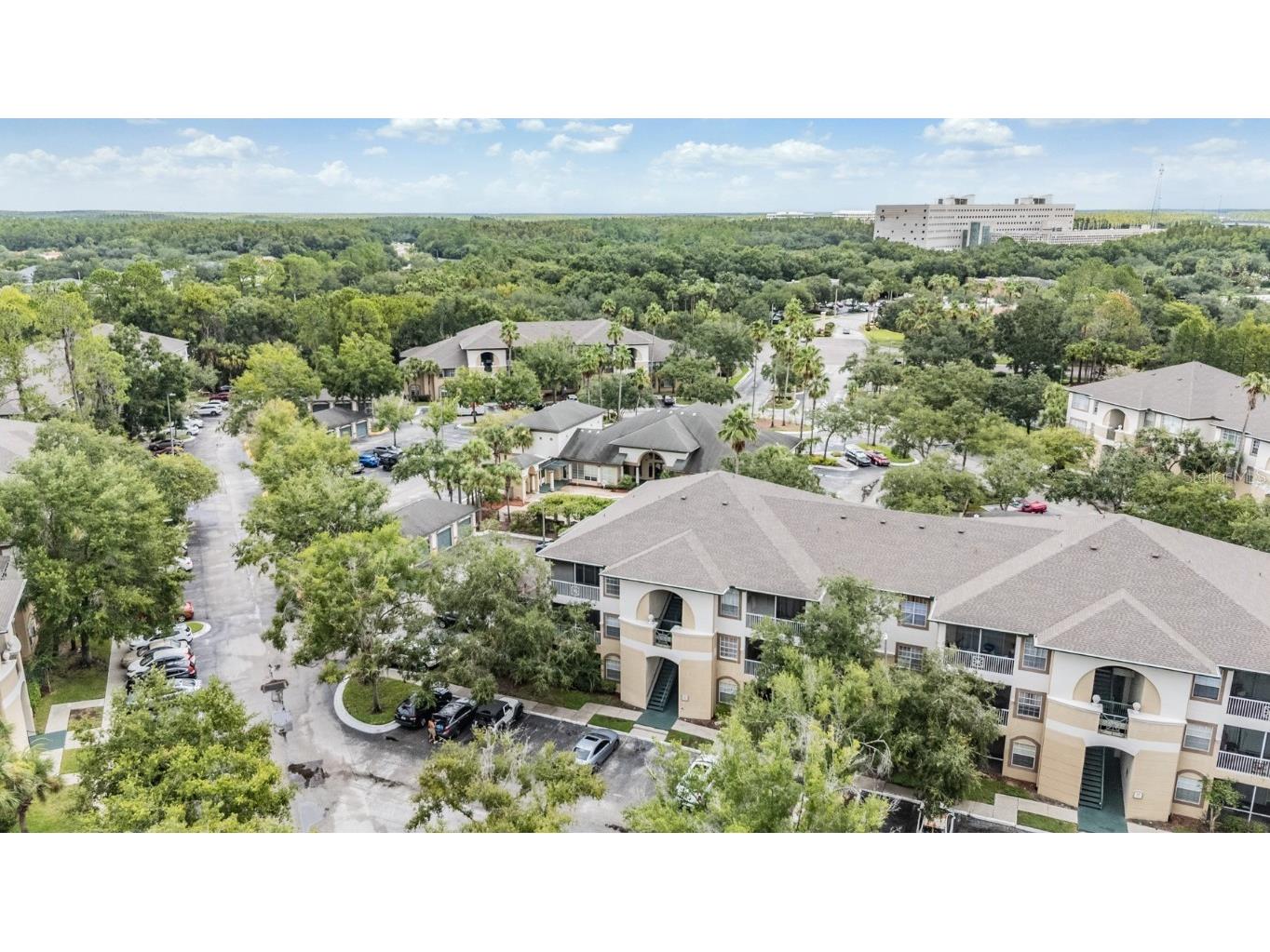 17101 Carrington Park Drive #415 Tampa FL 33647 TB8411715 image25