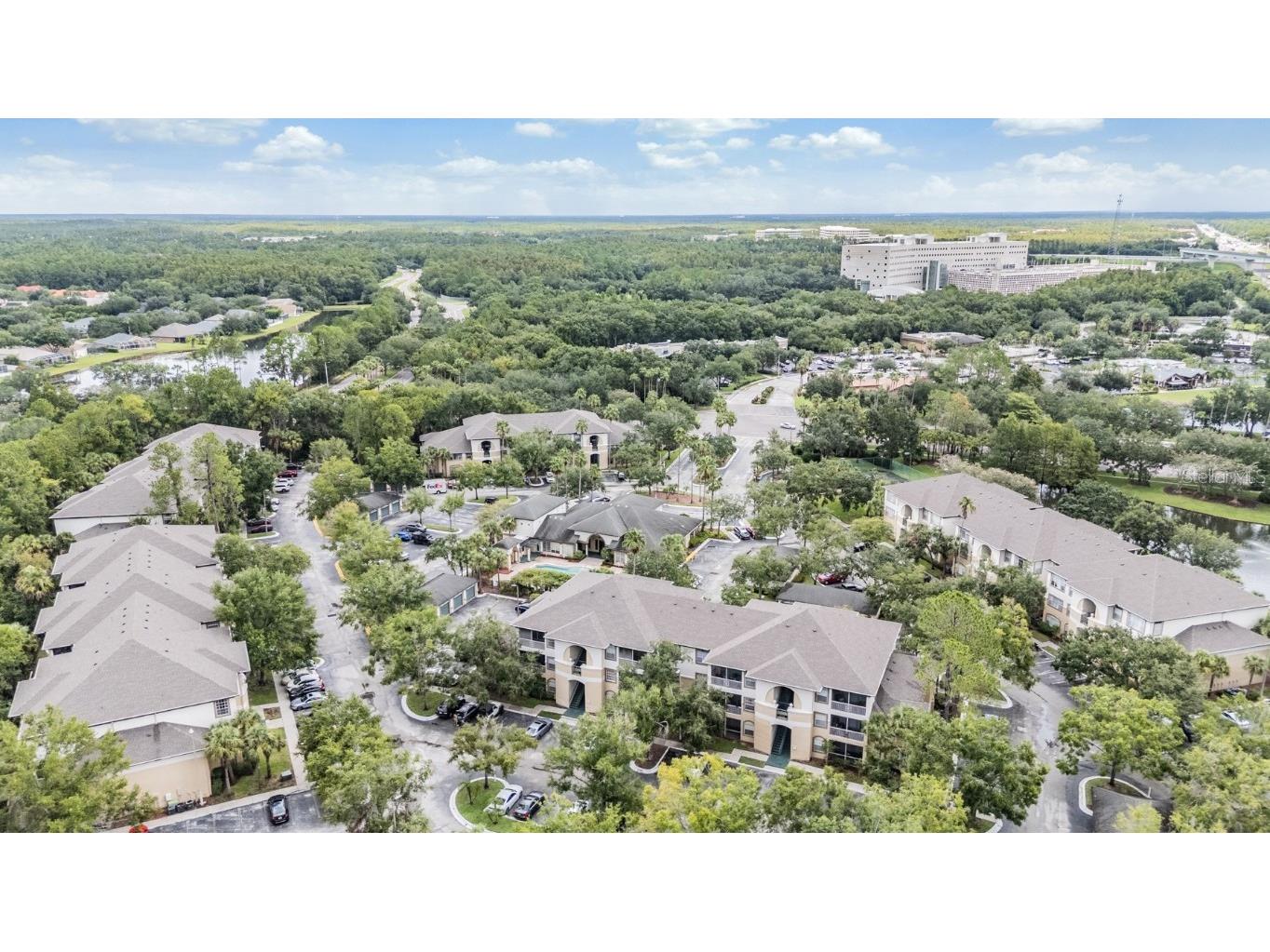 17101 Carrington Park Drive #415 Tampa FL 33647 TB8411715 image26