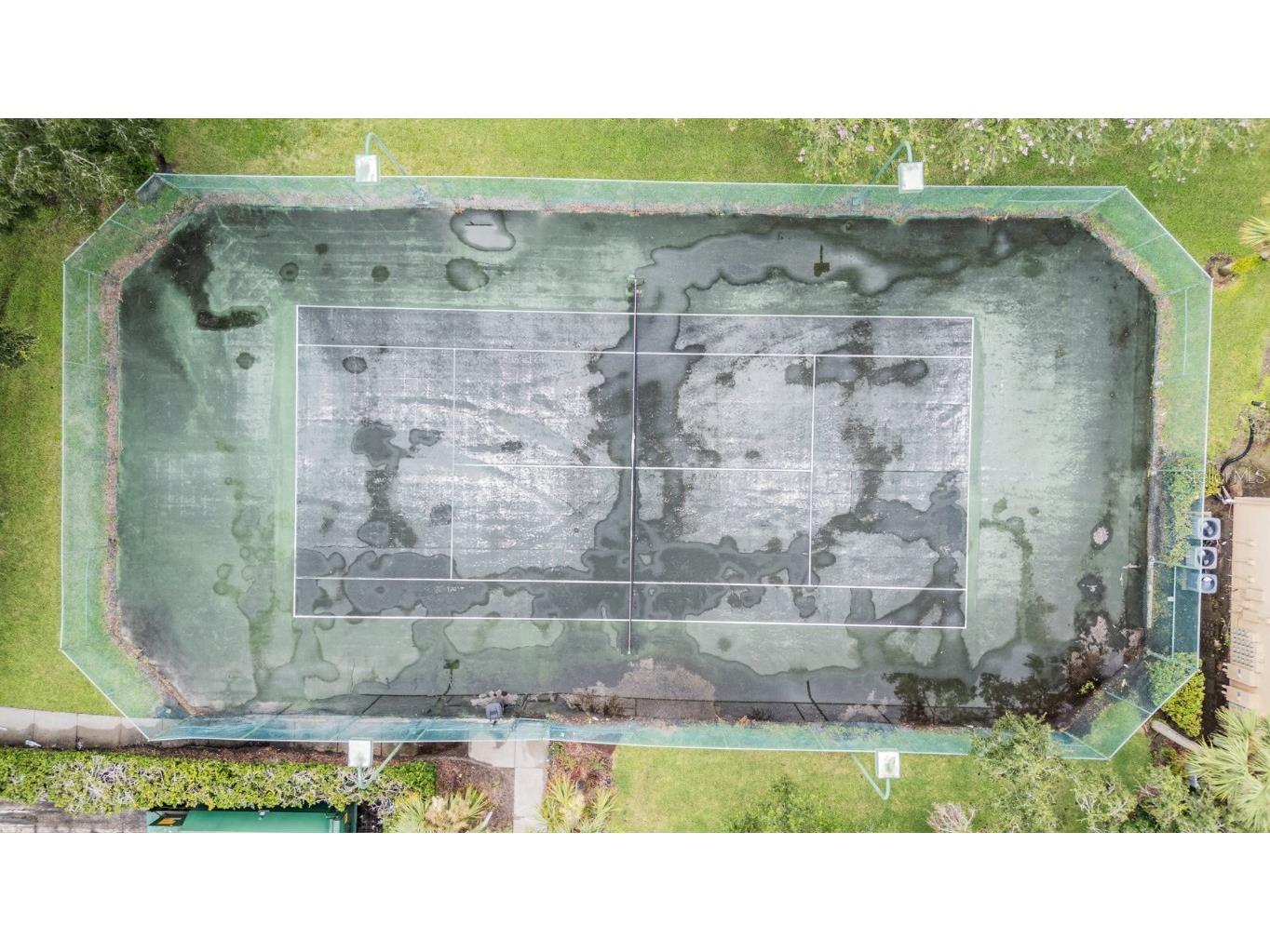 17101 Carrington Park Drive #415 Tampa FL 33647 TB8411715 image31