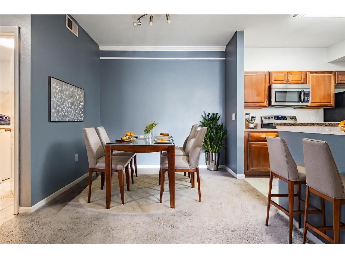 17101 Carrington Park Drive #415 Tampa FL 33647 TB8411715 image4