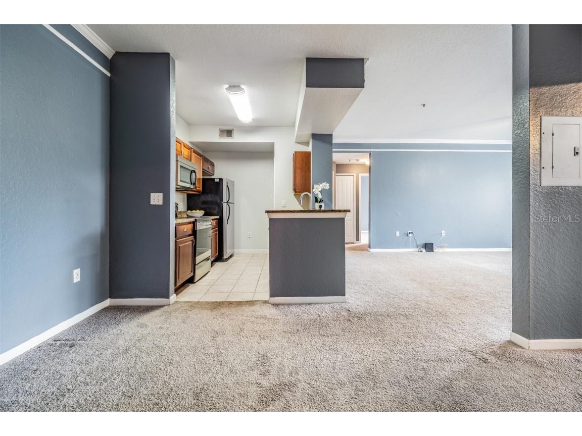 17101 Carrington Park Drive #415 Tampa FL 33647 TB8411715 image7
