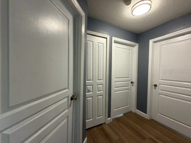 17101 Carrington Park Drive #415 Tampa FL 33647 TB8500012 image5