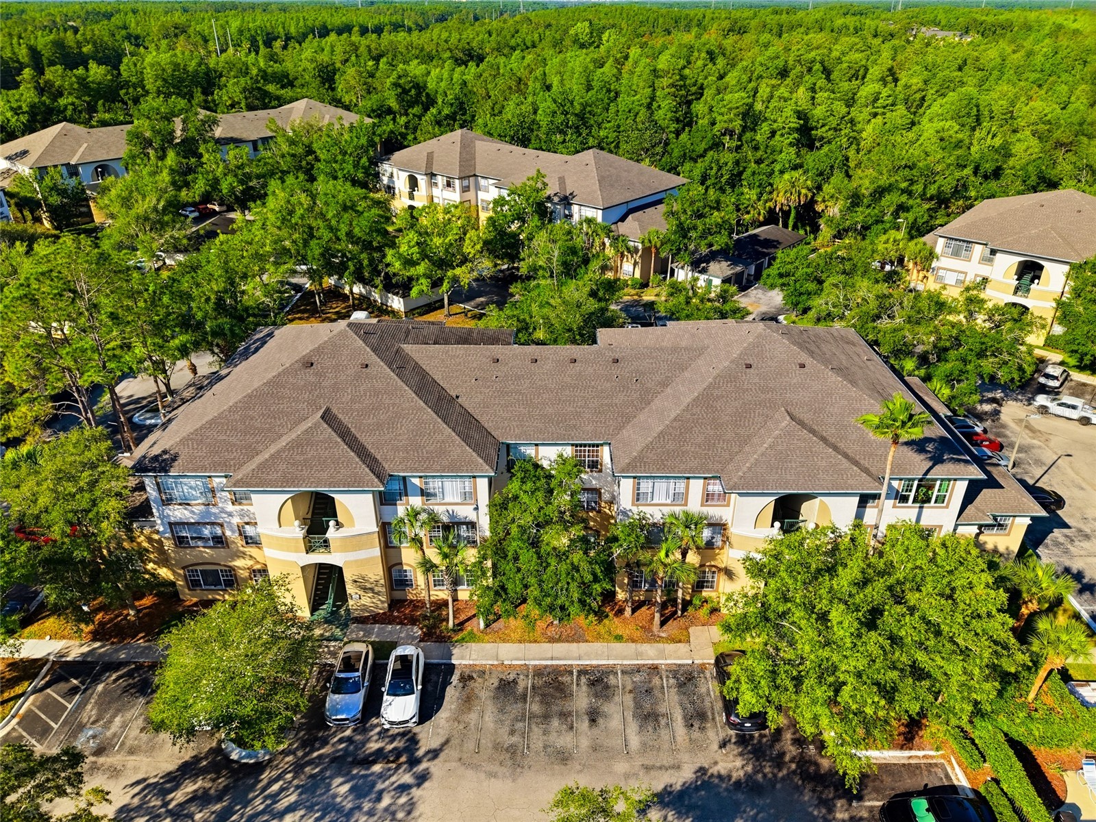 17101 Carrington Park Drive #419 Tampa FL 33647 TB8509196 image27