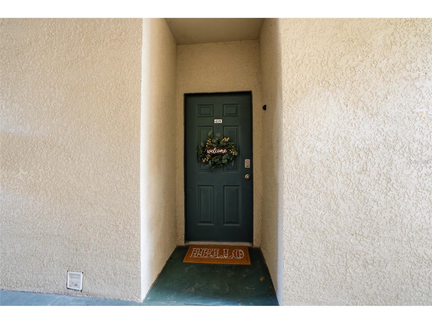 17101 Carrington Park Drive #419 Tampa FL 33647 TB8509196 image3