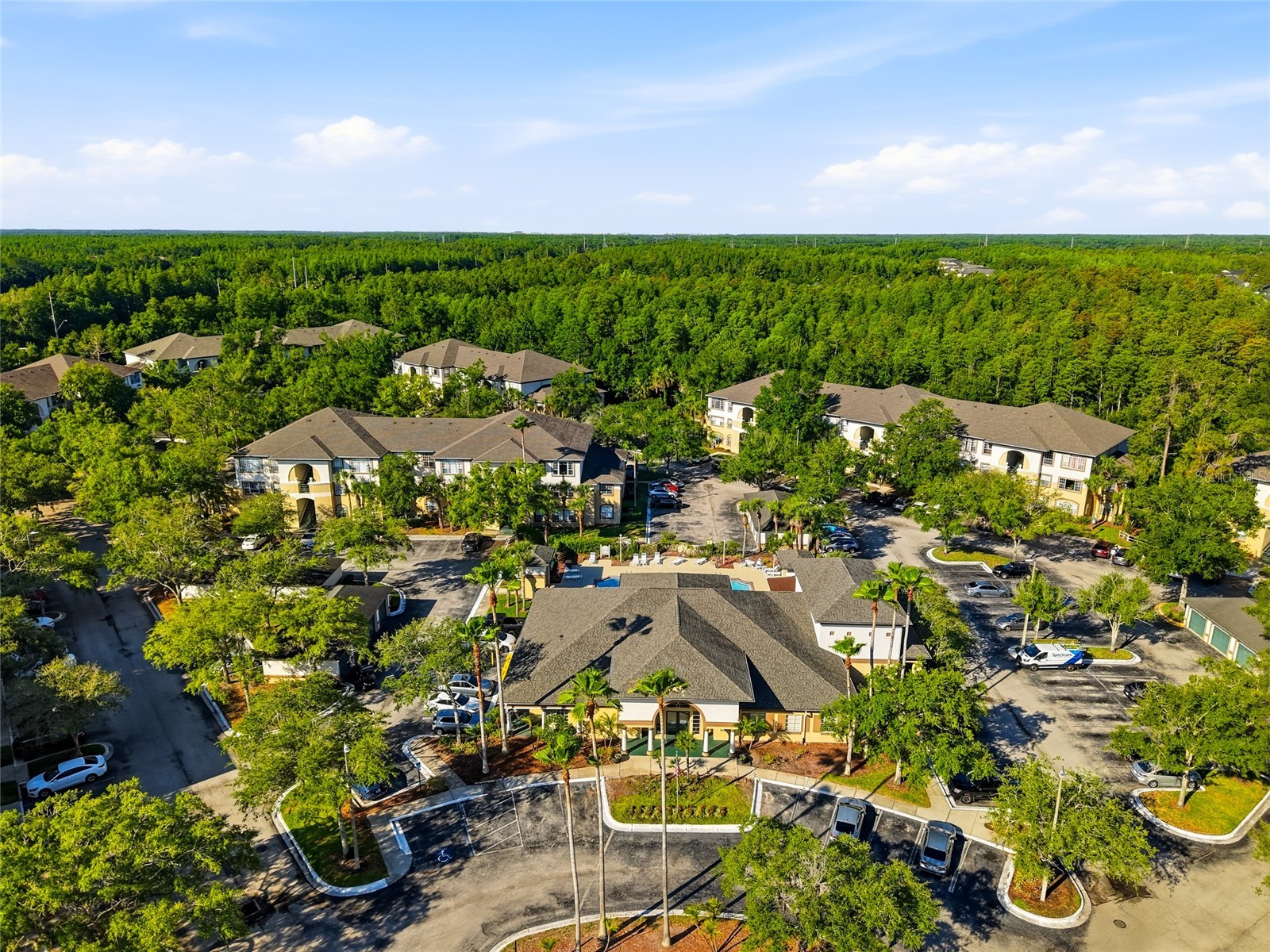 17101 Carrington Park Drive #419 Tampa FL 33647 TB8509196 image33