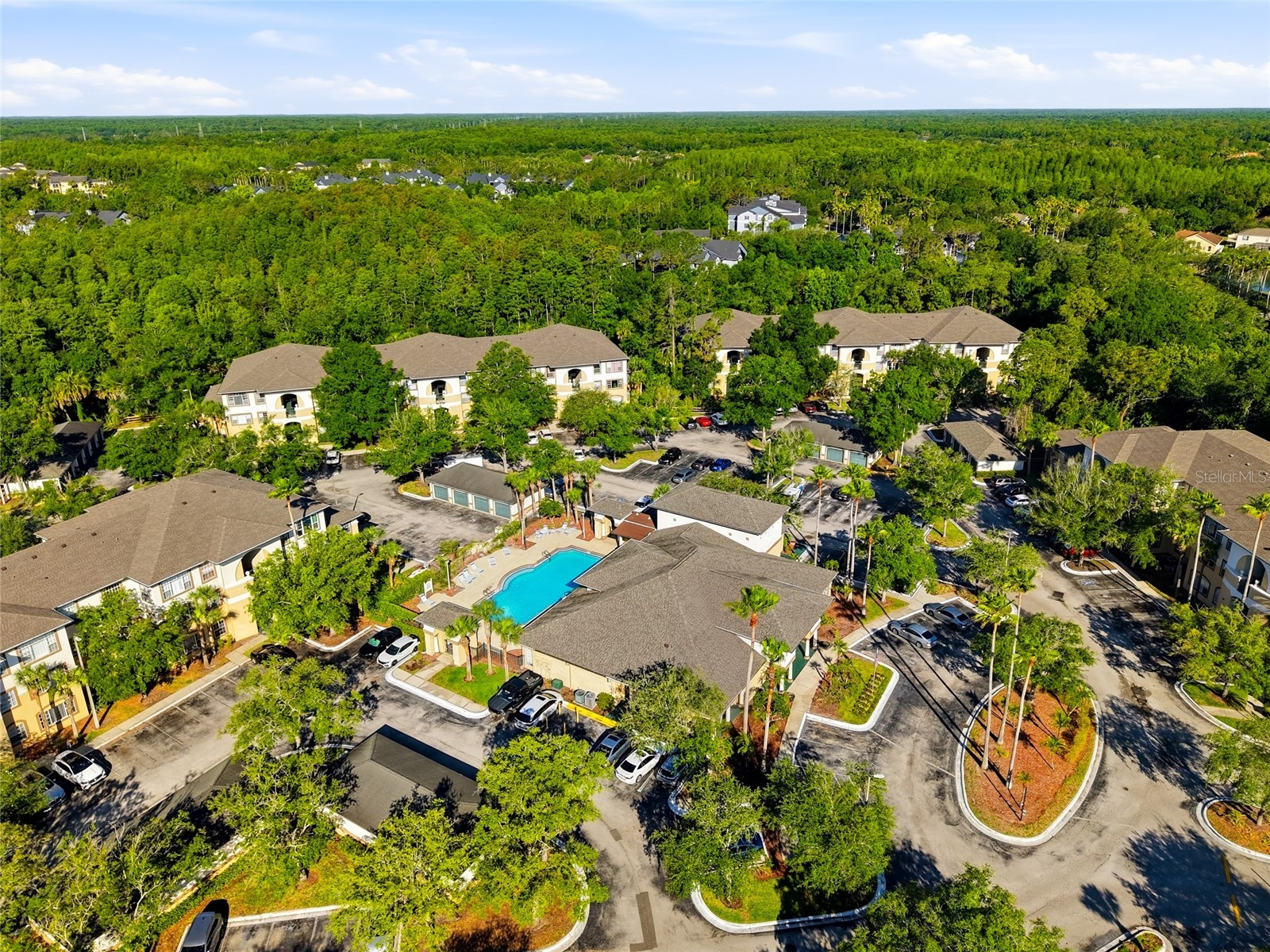 17101 Carrington Park Drive #419 Tampa FL 33647 TB8509196 image36