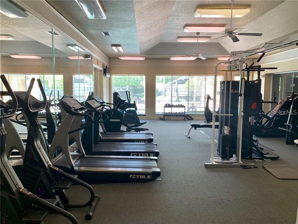 17101 Carrington Park Drive #419 Tampa FL 33647 TB8509196 image39