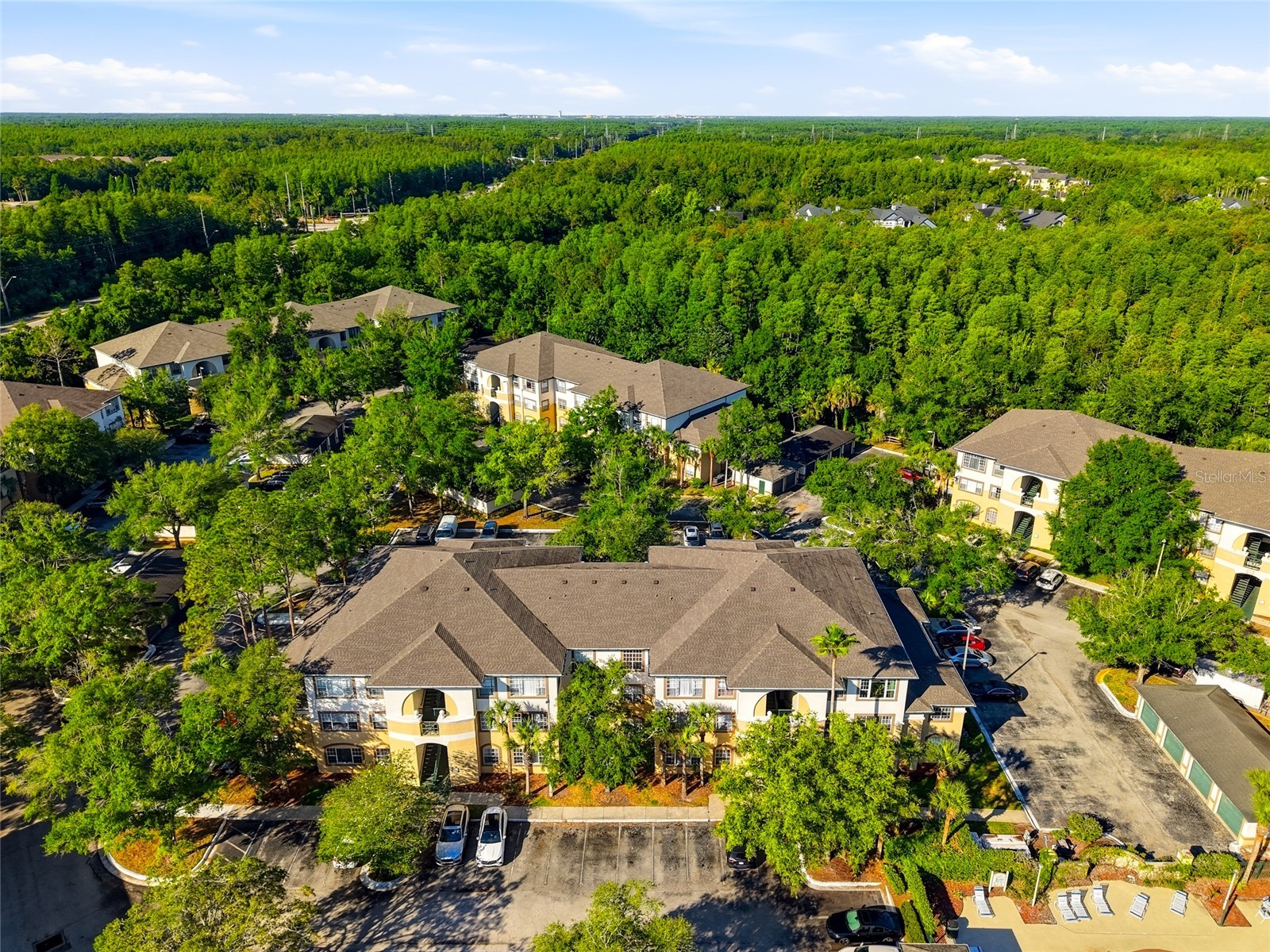 17101 Carrington Park Drive #419 Tampa FL 33647 TB8509196 image6