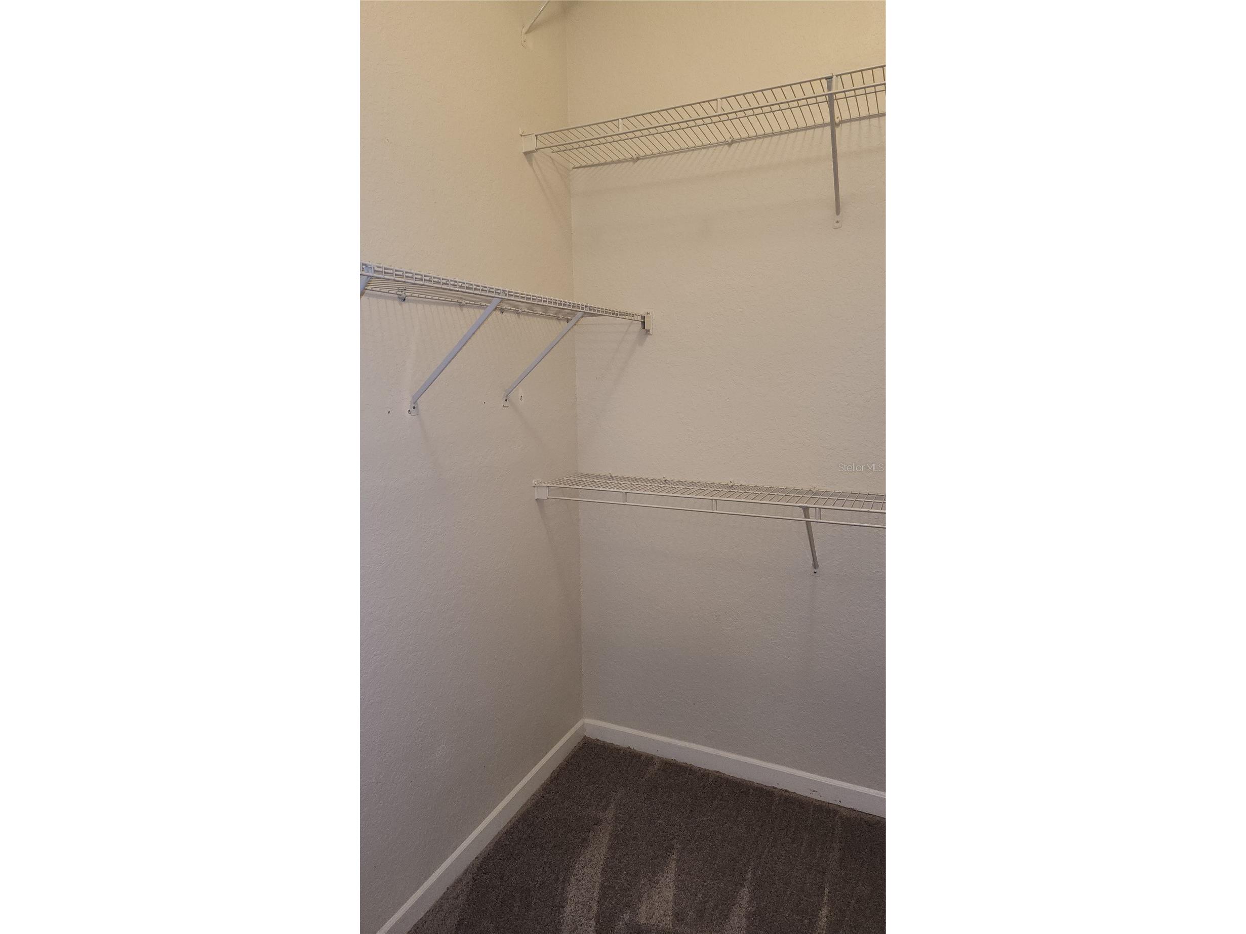 17101 Carrington Park Drive #421 Tampa FL 33647 TB8515472 image15
