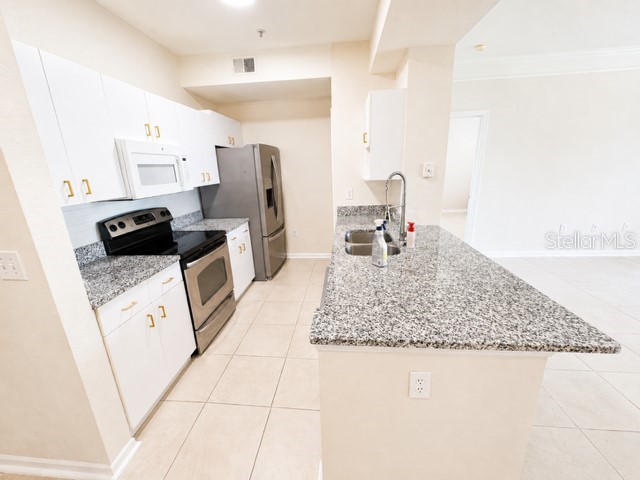 17102 Carrington Park Drive #302 Tampa FL 33647 TB8511493 image16