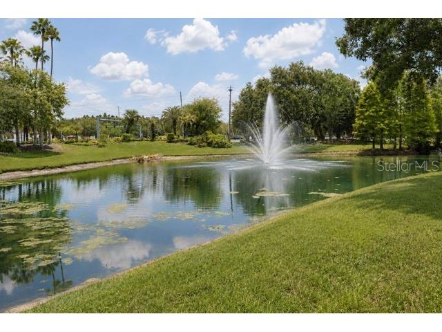 17102 Carrington Park Drive #302 Tampa FL 33647 TB8511493 image25