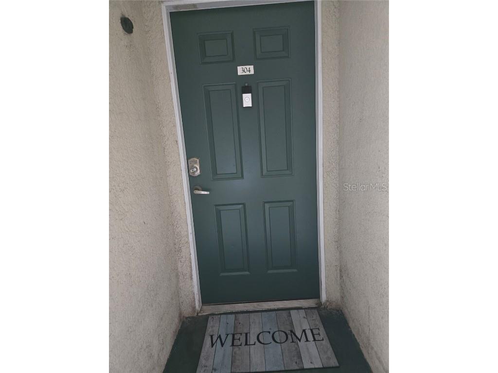 17102 Carrington Park Drive #304 Tampa FL 33647 TB8438799 image2