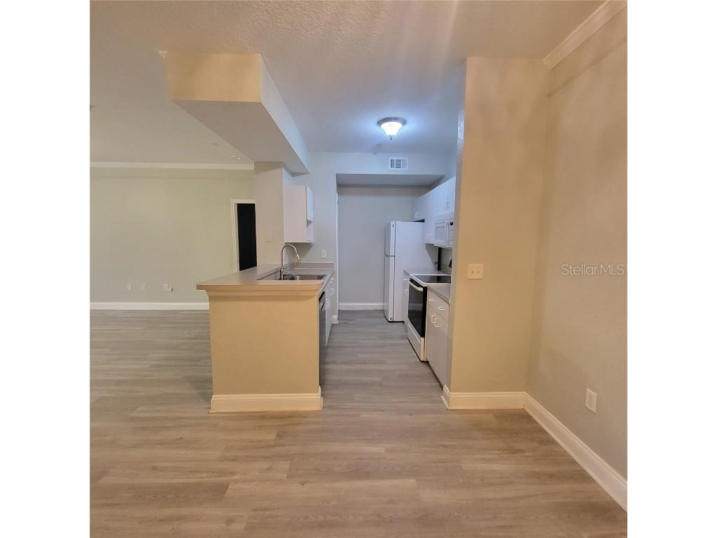 17102 Carrington Park Drive #313 Tampa FL 33647 TB8416157 image13