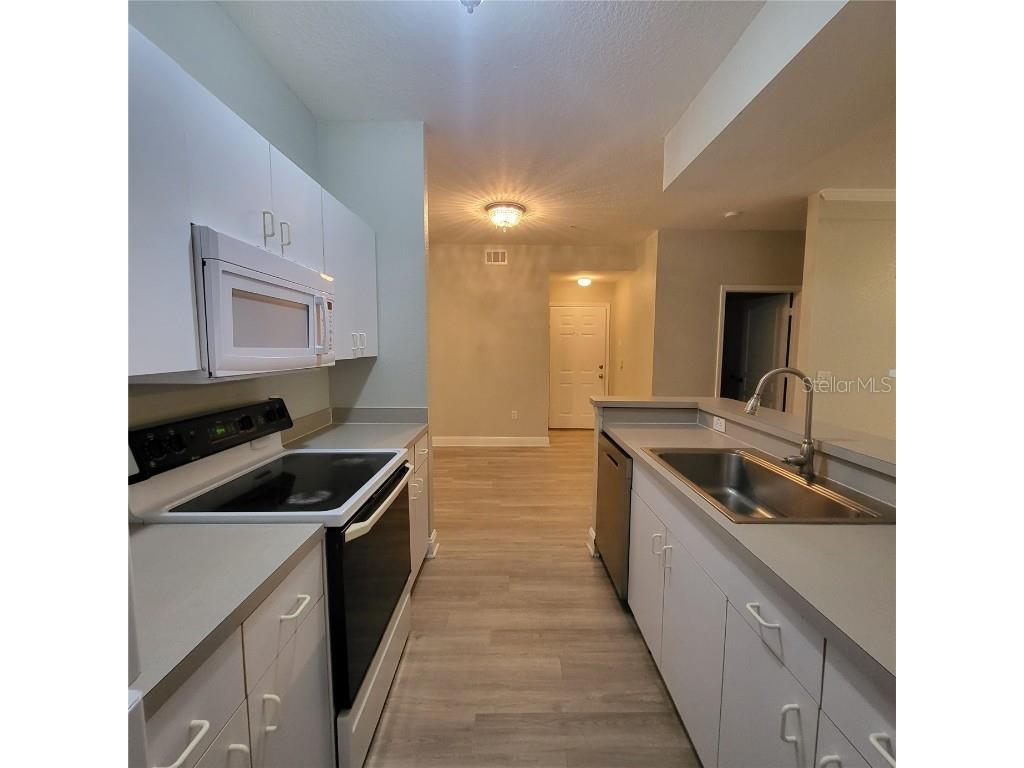 17102 Carrington Park Drive #313 Tampa FL 33647 TB8416157 image14