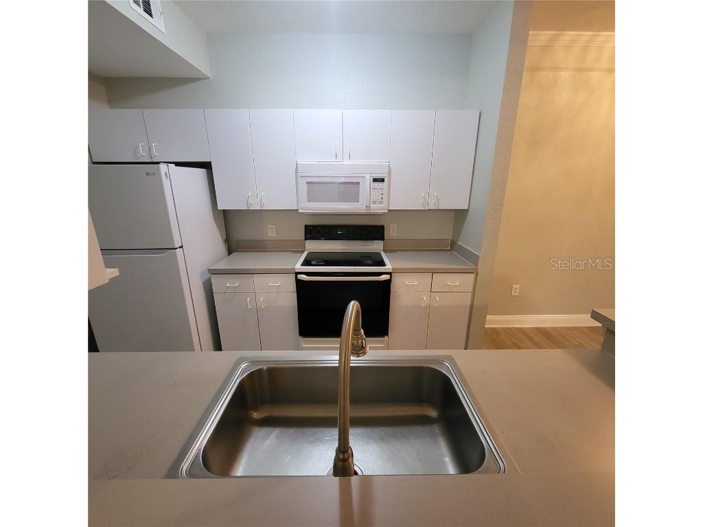 17102 Carrington Park Drive #313 Tampa FL 33647 TB8416157 image16