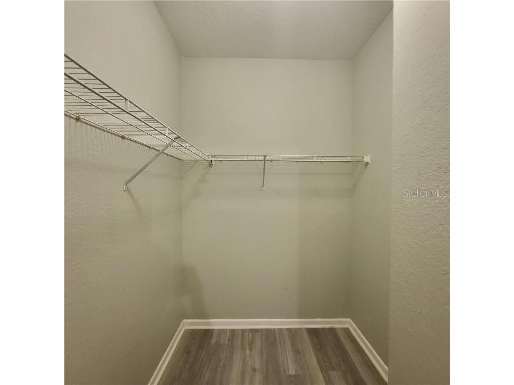 17102 Carrington Park Drive #313 Tampa FL 33647 TB8416157 image28