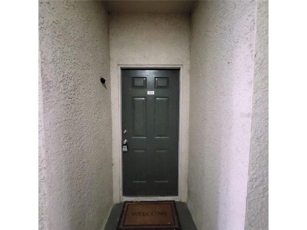 17102 Carrington Park Drive #313 Tampa FL 33647 TB8416157 image3