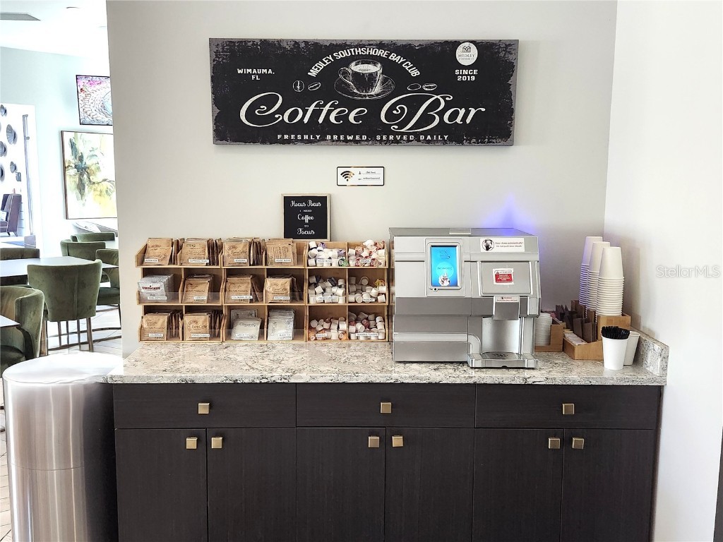 17102 Star Banks Street Wimauma FL 33598 TB8446201 image46