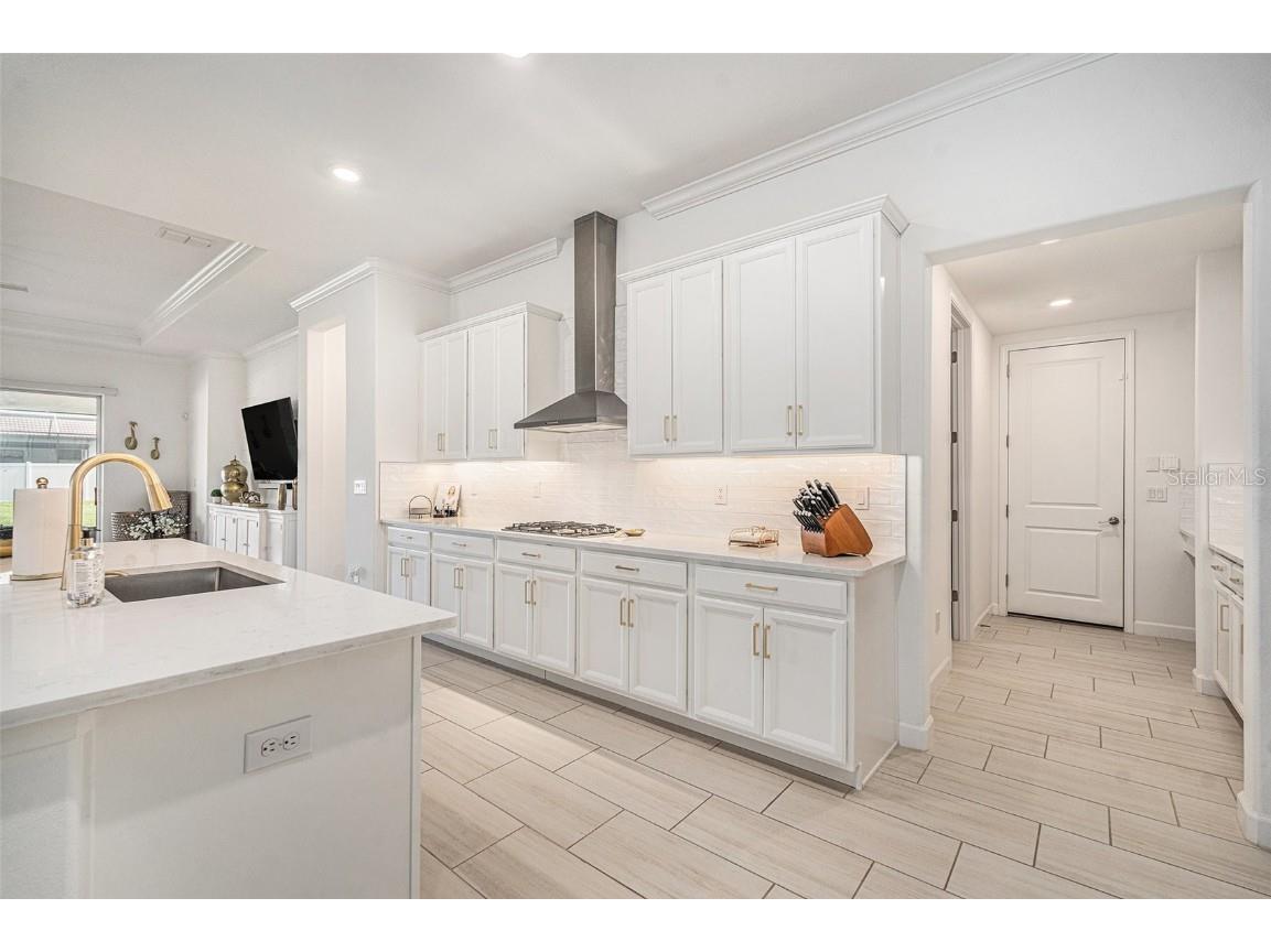 17102 Star Banks Street Wimauma FL 33598 TB8446201 image9