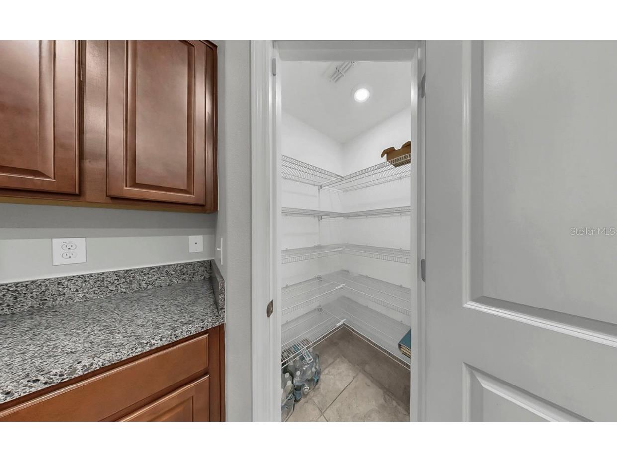 17103 Sunshine Mimosa Street Wimauma FL 33598 TB8428418 image27