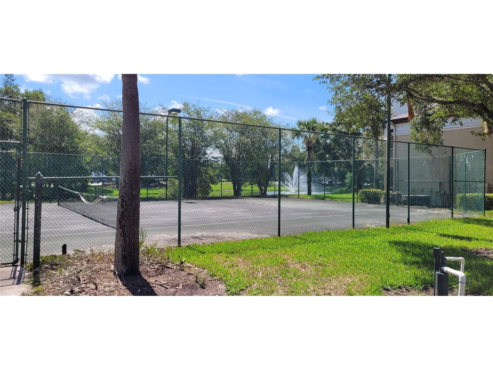 17104 Carrington Park Drive #513 Tampa FL 33647 TB8524786 image10