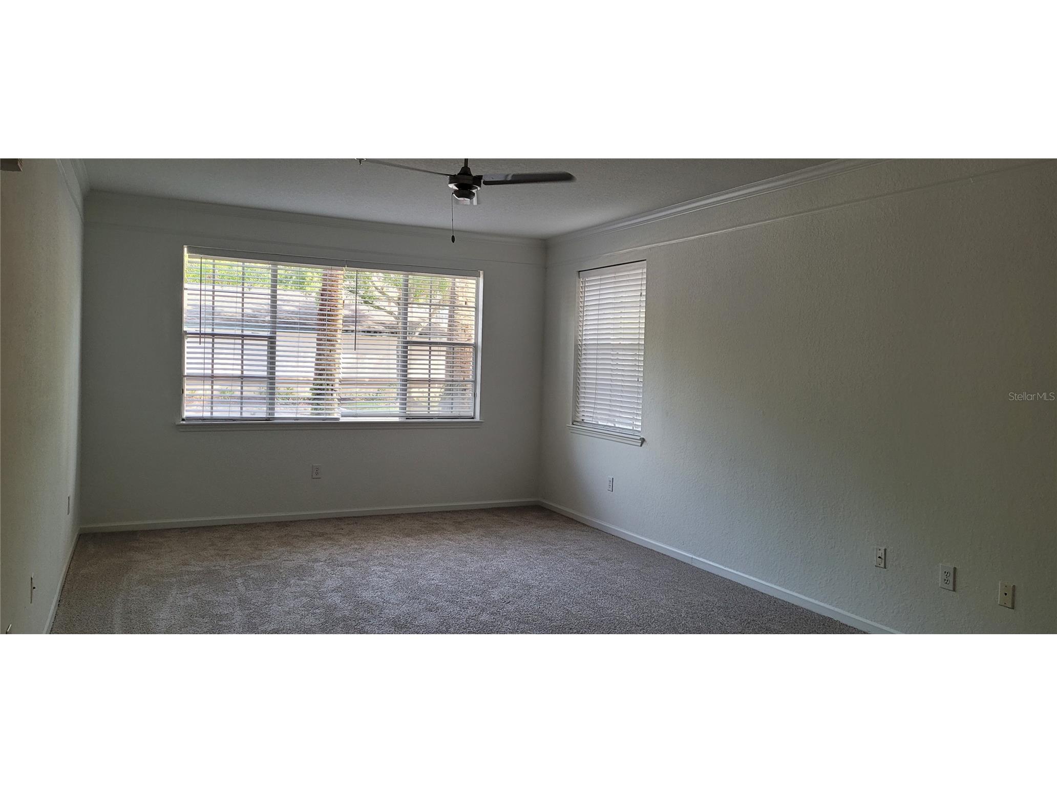 17104 Carrington Park Drive #513 Tampa FL 33647 TB8524786 image5
