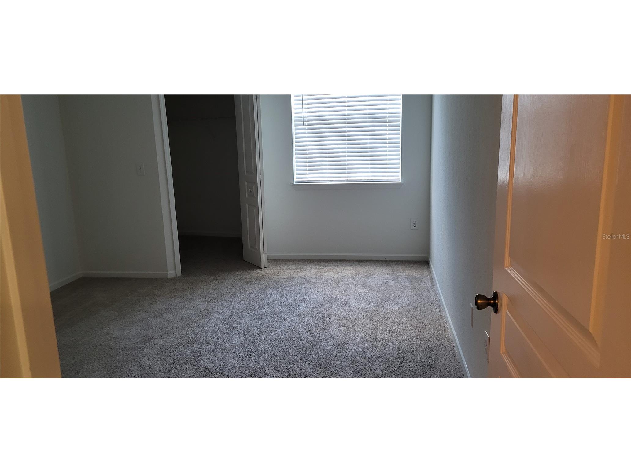 17104 Carrington Park Drive #513 Tampa FL 33647 TB8524786 image6
