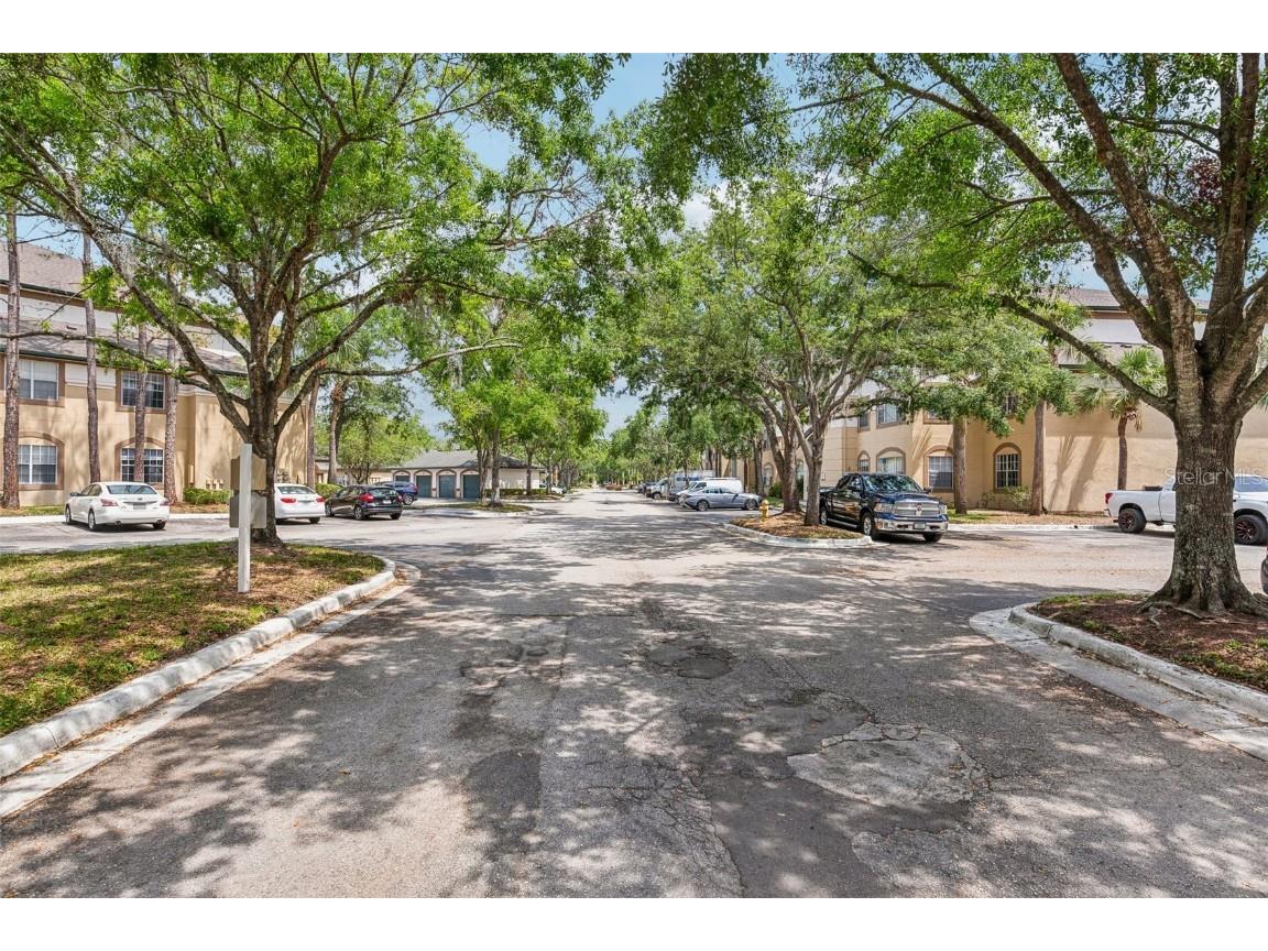 17104 Carrington Park Drive #514 Tampa FL 33647 TB8418428 image3