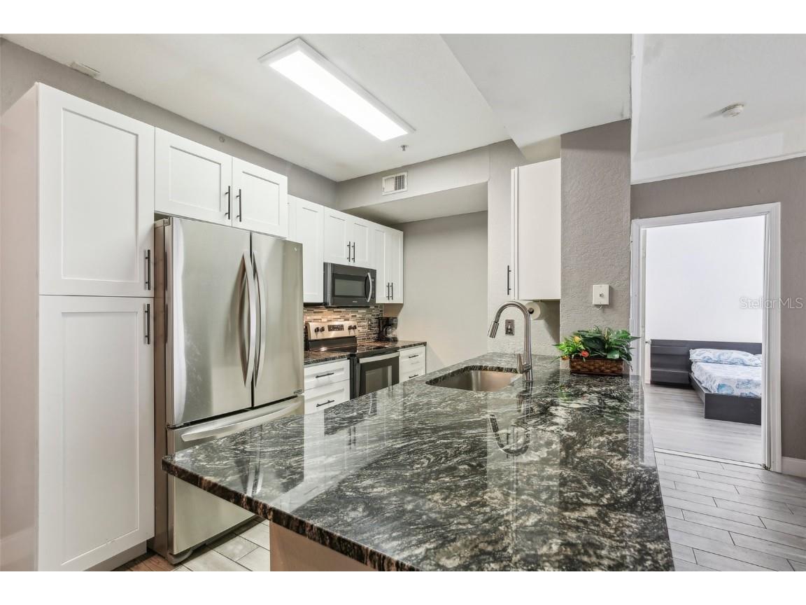 17104 Carrington Park Drive #514 Tampa FL 33647 TB8418428 image4