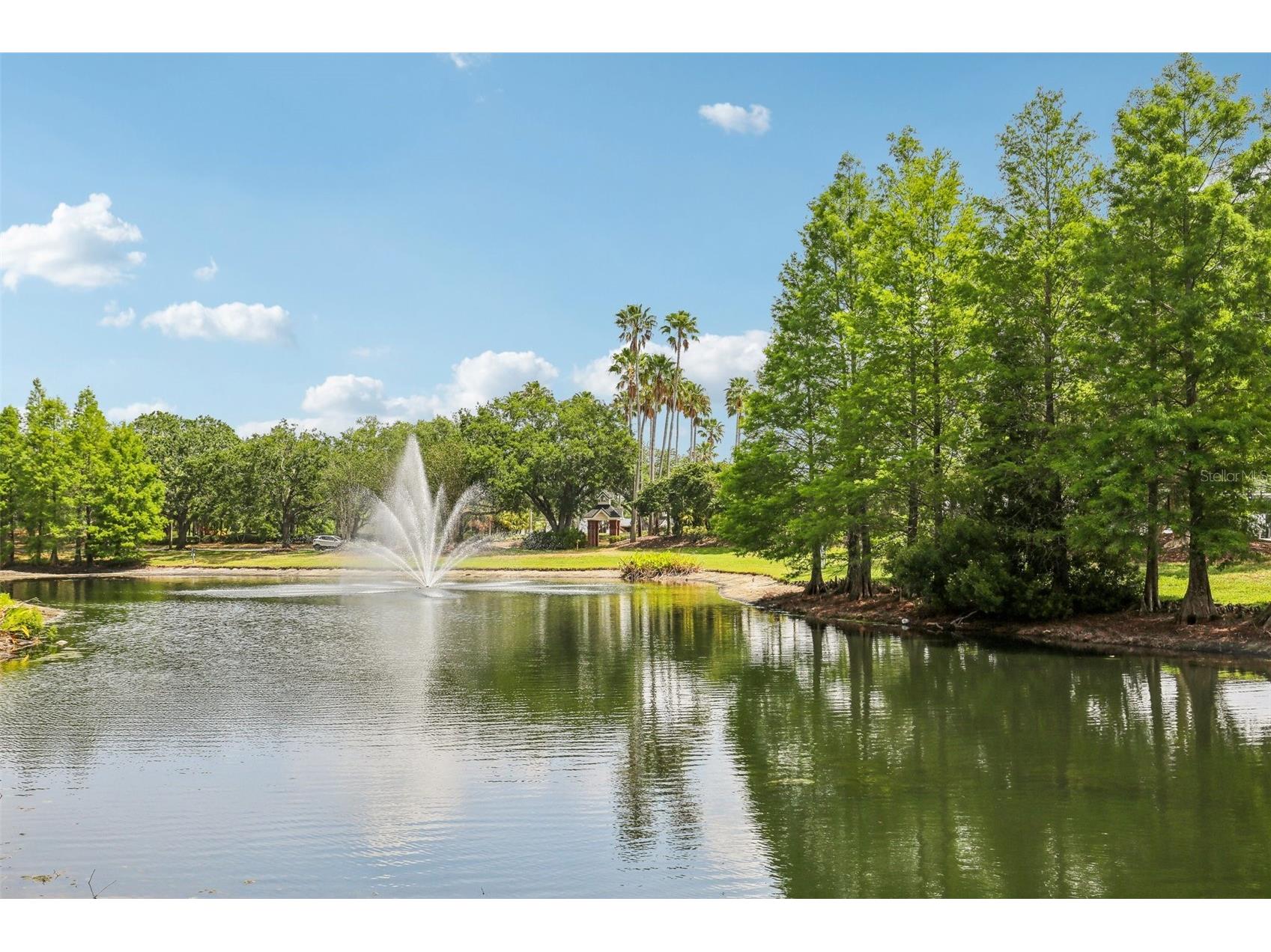 17104 Carrington Park Drive #514 Tampa FL 33647 TB8497249 image29