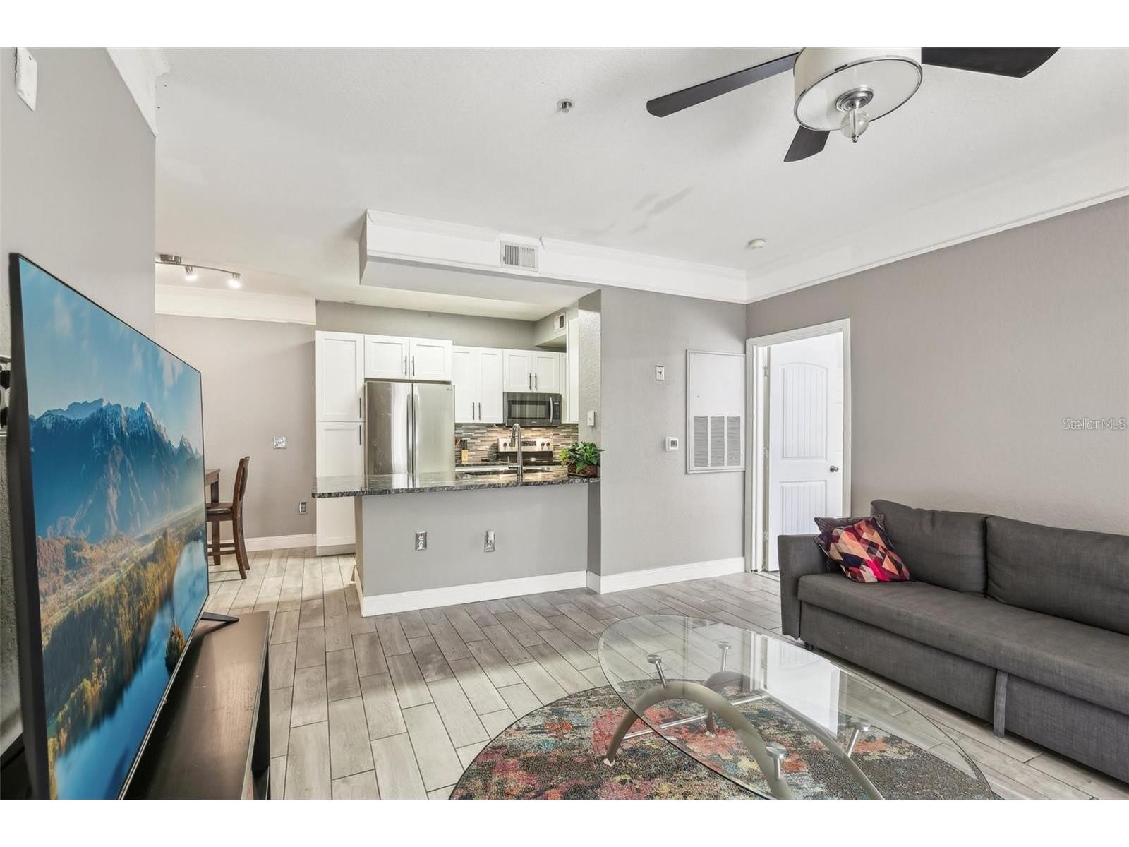 17104 Carrington Park Drive #514 Tampa FL 33647 TB8507969 image2