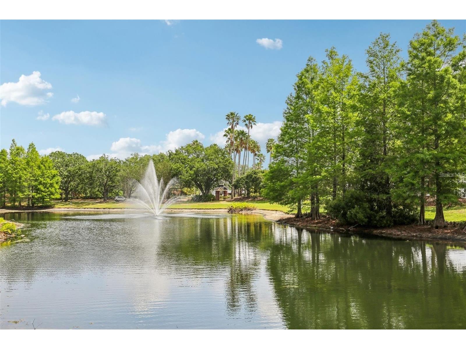 17104 Carrington Park Drive #514 Tampa FL 33647 TB8507969 image27