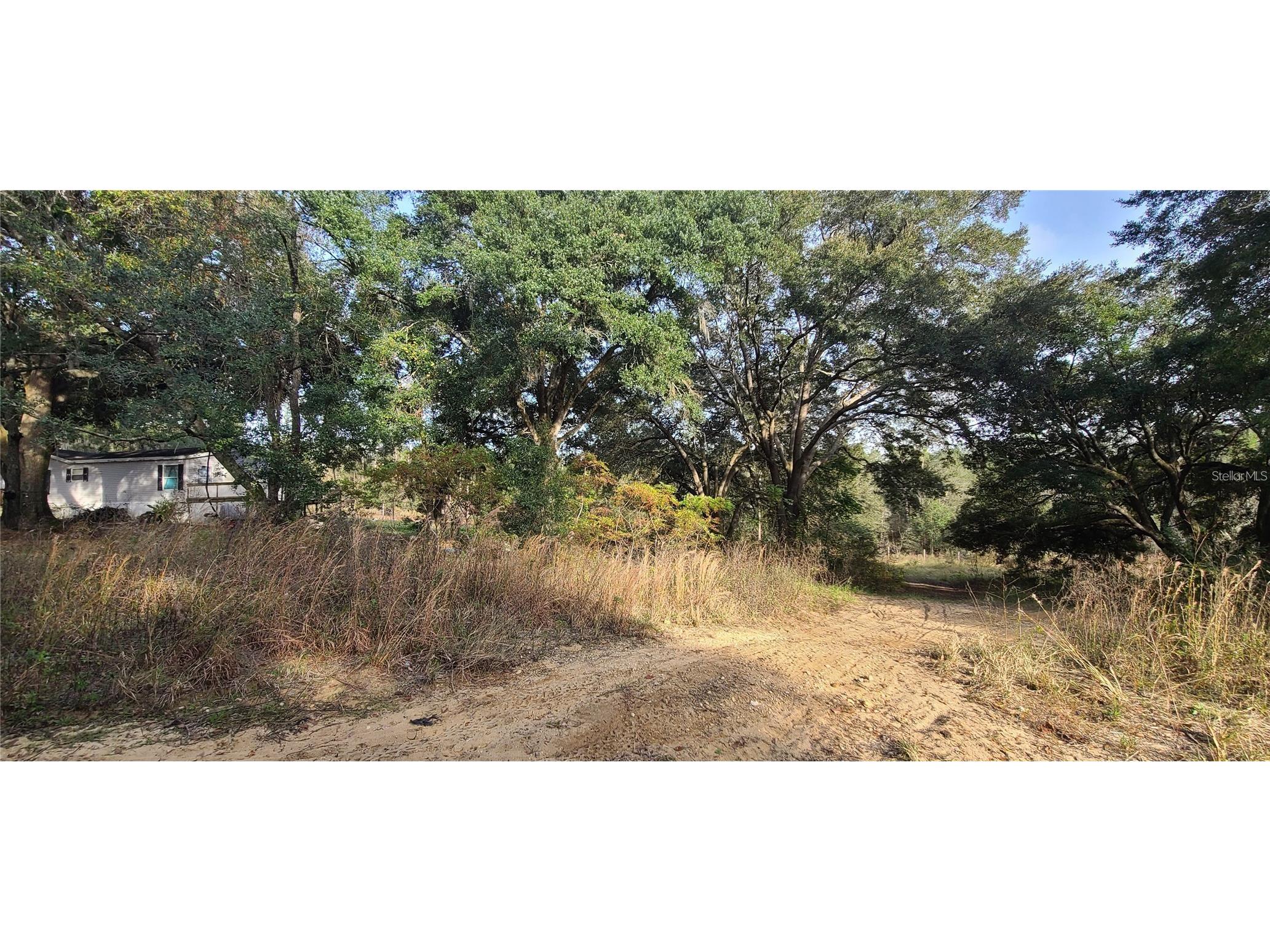 17105 SE 252nd Avenue Umatilla FL 32784 G5114309 image1