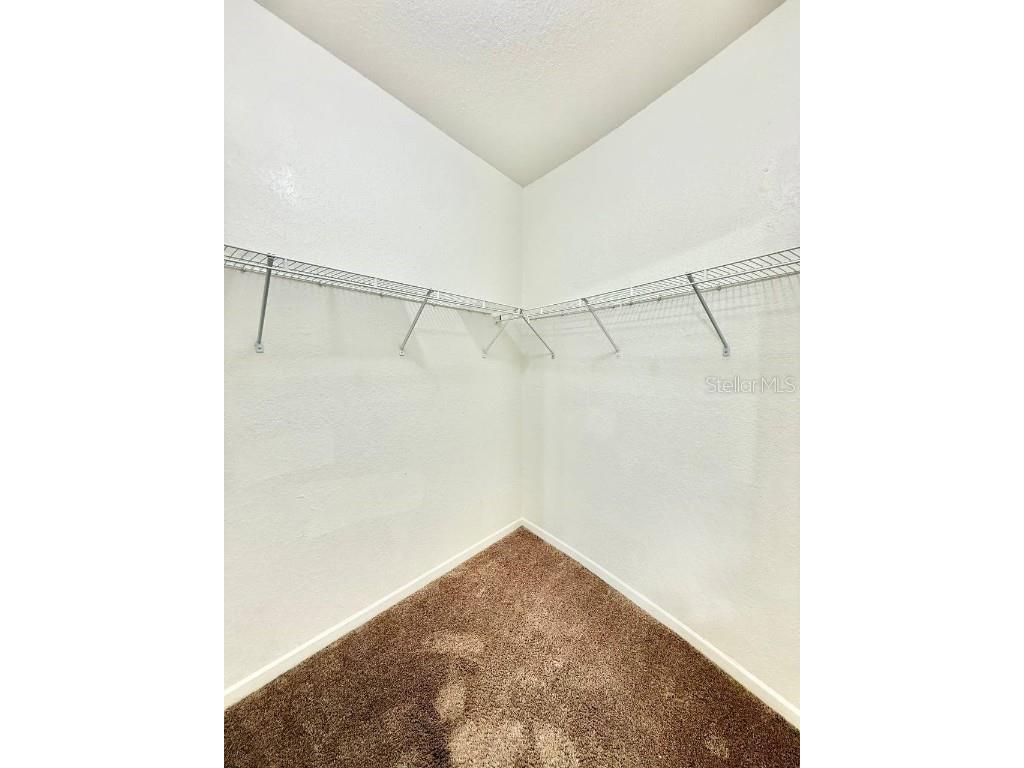 17106 Carrington Park Drive #605 Tampa FL 33647 TB8450399 image13