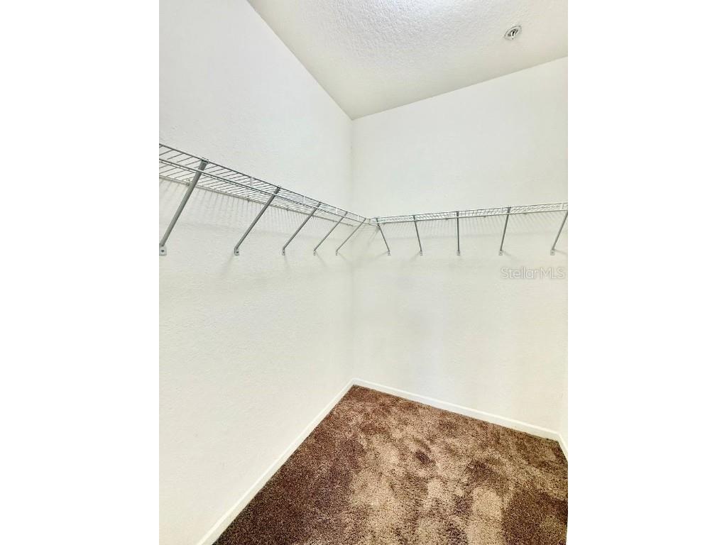 17106 Carrington Park Drive #605 Tampa FL 33647 TB8450399 image17