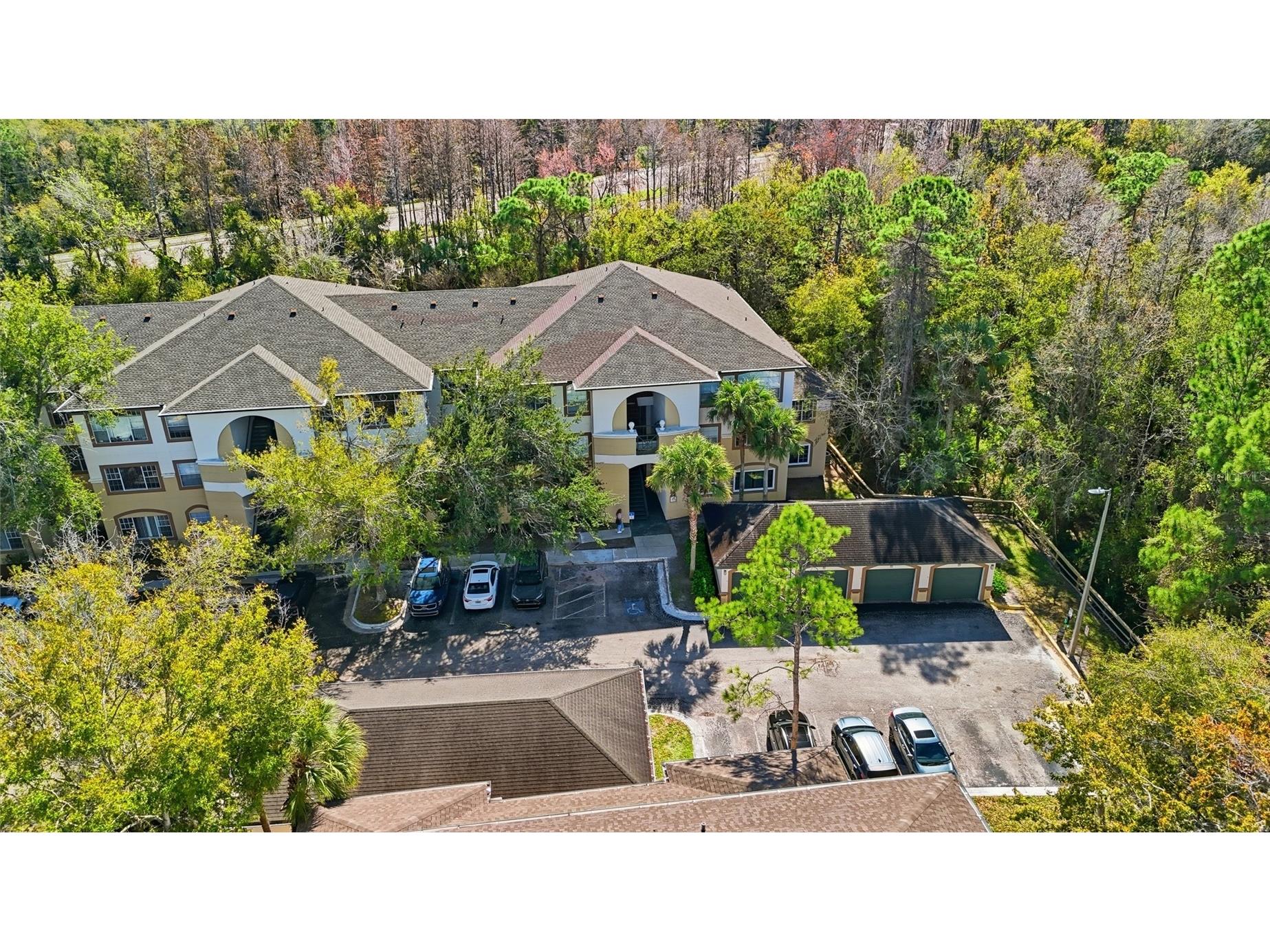 17106 Carrington Park Drive #623 Tampa FL 33647 TB8478608 image1