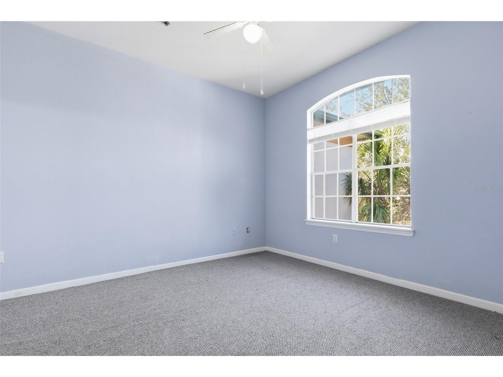 17106 Carrington Park Drive #623 Tampa FL 33647 TB8478608 image16