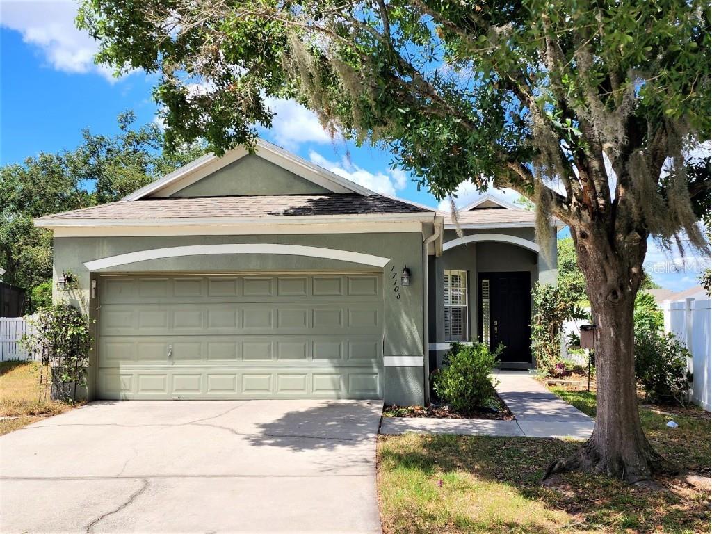 17106 Kiteglide Court Lithia FL 33547 T3438508 image1