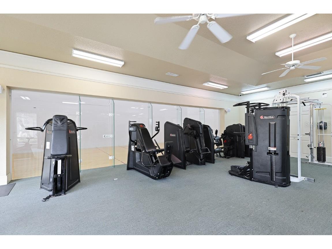 17108 Carrington Park Drive #701 Tampa FL 33647 TB8429482 image31