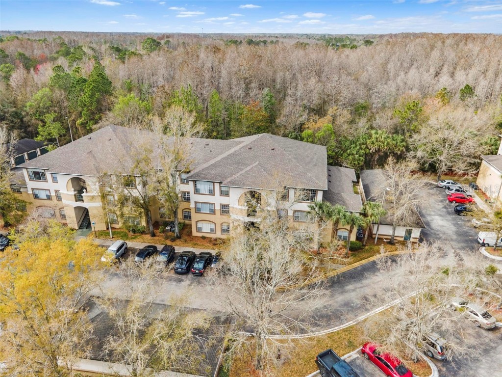 17108 Carrington Park Drive #717 Tampa FL 33647 T3505817 image1