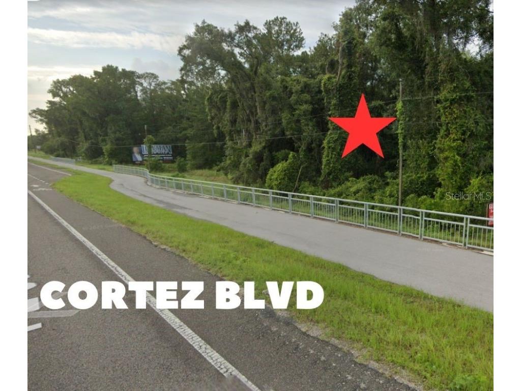 17108 Cortez Boulevard Brooksville FL 34601 W7637711 image2