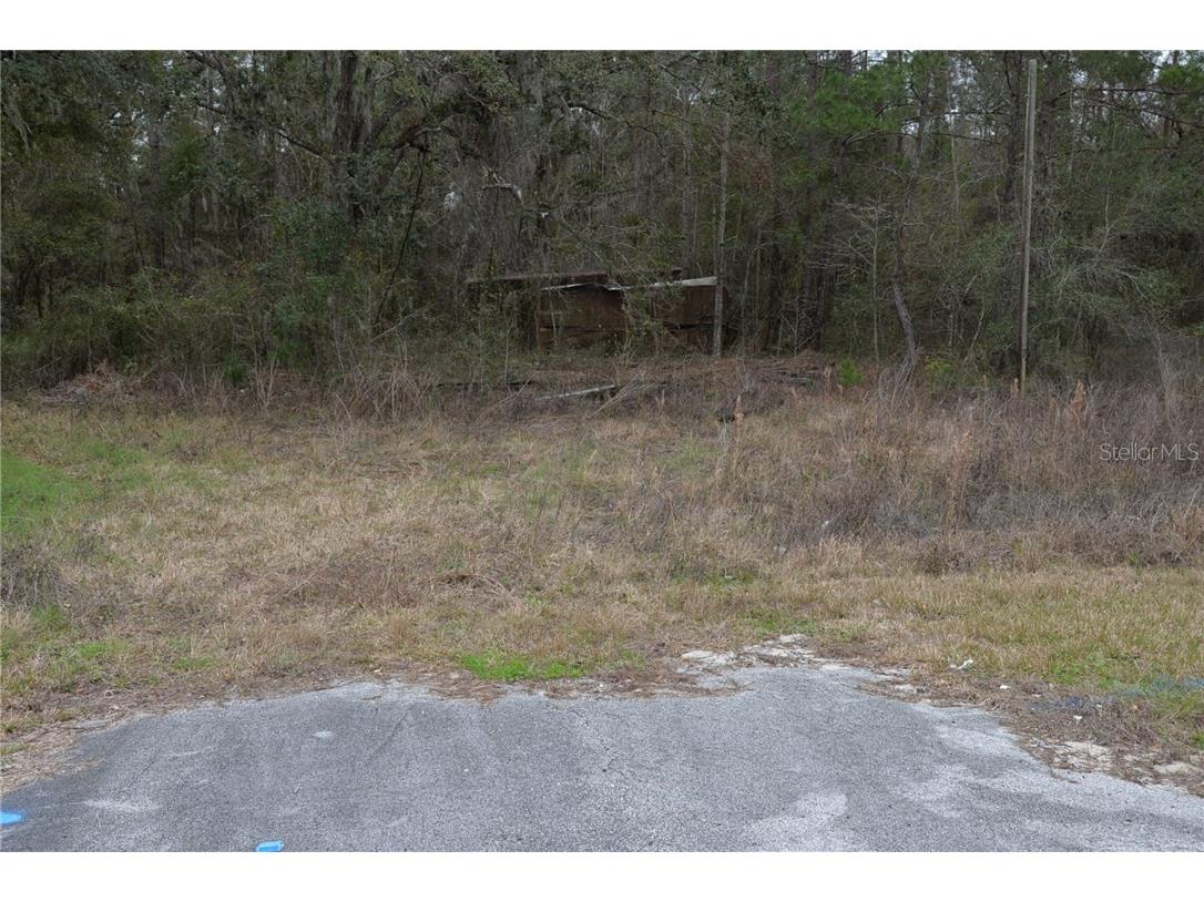 17108 Cortez Boulevard Brooksville FL 34601 W7637711 image7