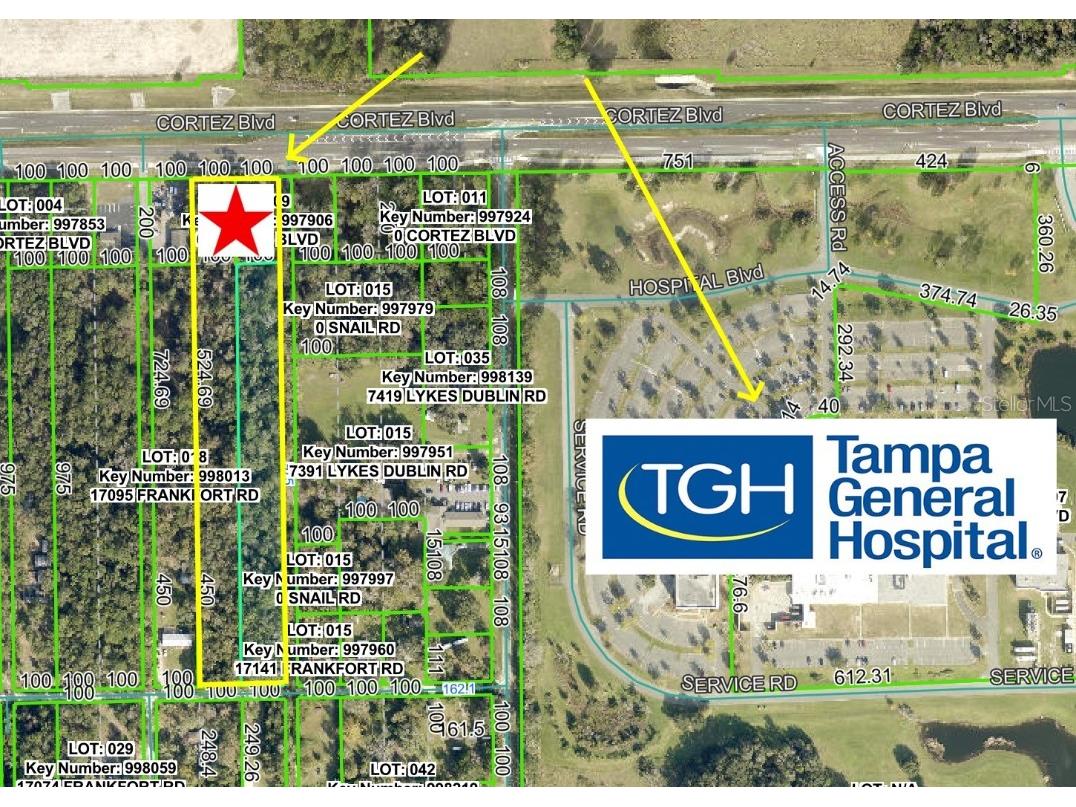 17108 Cortez Boulevard Brooksville FL 34601 W7881508 image1