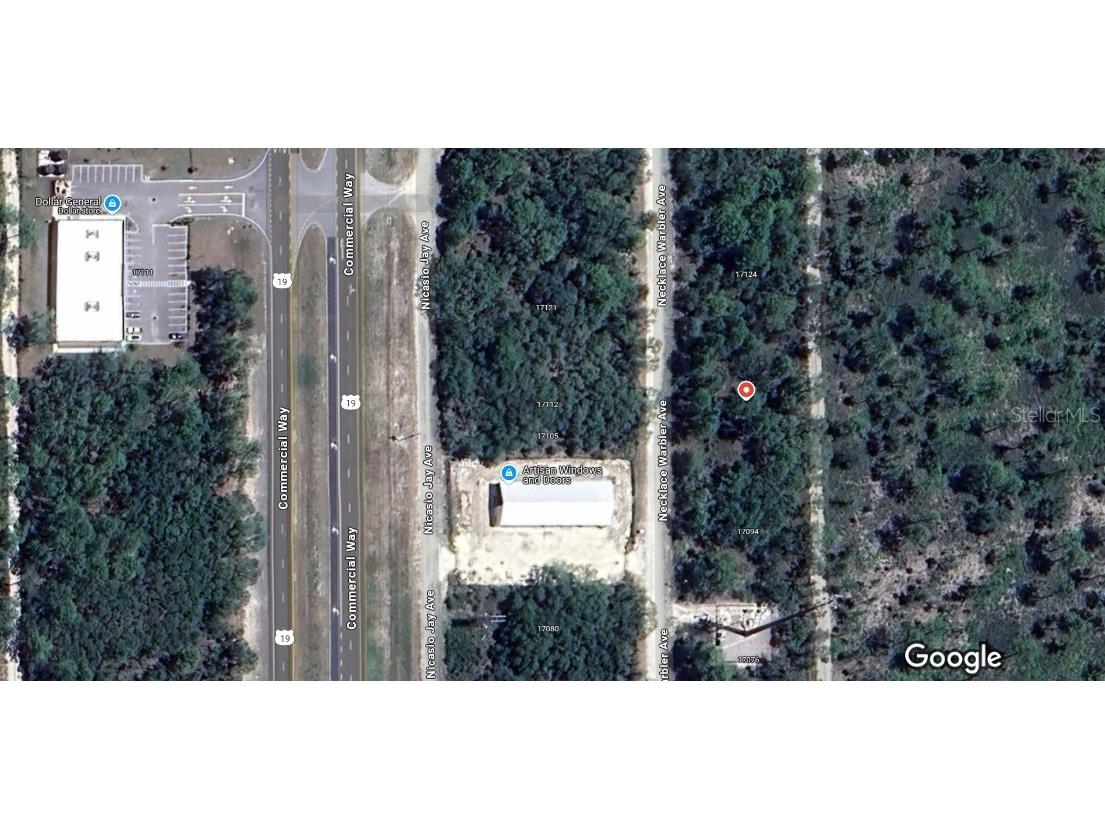 17108 Necklace Warbler Avenue Brooksville FL 34614 W7881944 image1