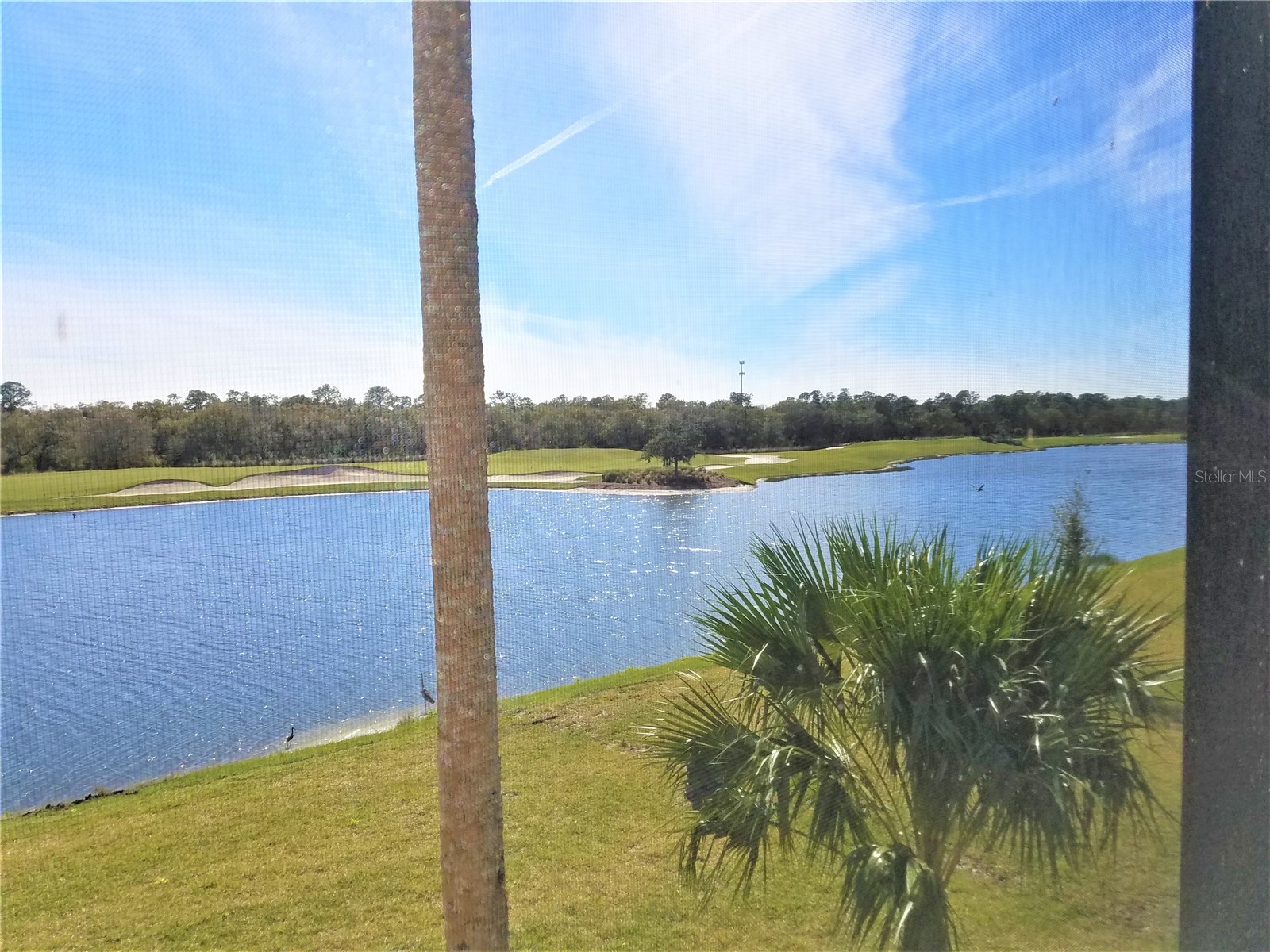 17108 Vardon Terrace #208 Lakewood Ranch FL 34211 A4691473 image7