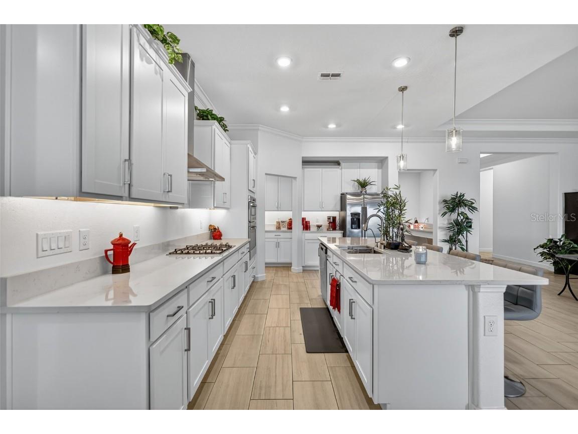 17109 Star Banks Street Wimauma FL 33598 TB8449309 image11