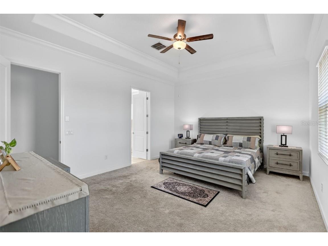 17109 Star Banks Street Wimauma FL 33598 TB8449309 image17