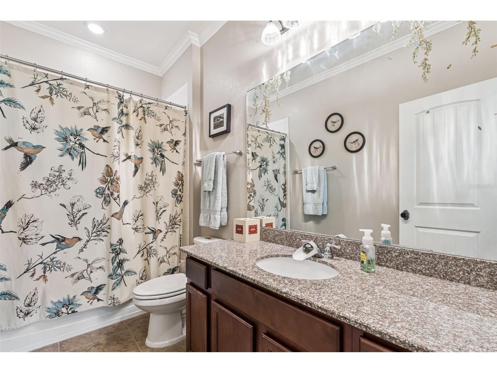 1711 Amsel Falls Park Terrace Winter Garden FL 34787 G5114517 image24